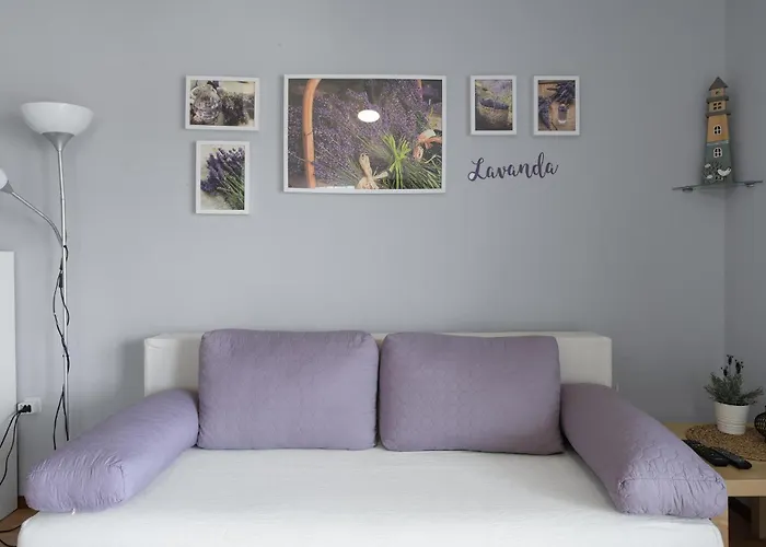 Cozy In With Wifi 피로바츠